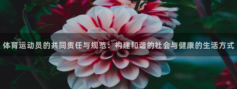 oety欧亿