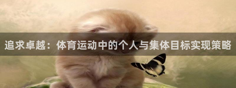 oety欧亿：追求卓越：体育运动中的个人与集体目标实现策略