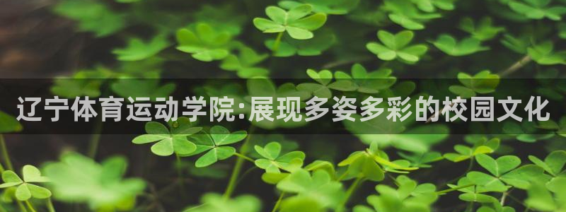 oety欧亿：辽宁体育运动学院:展现多姿多彩的校园文化