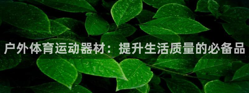 oety欧亿