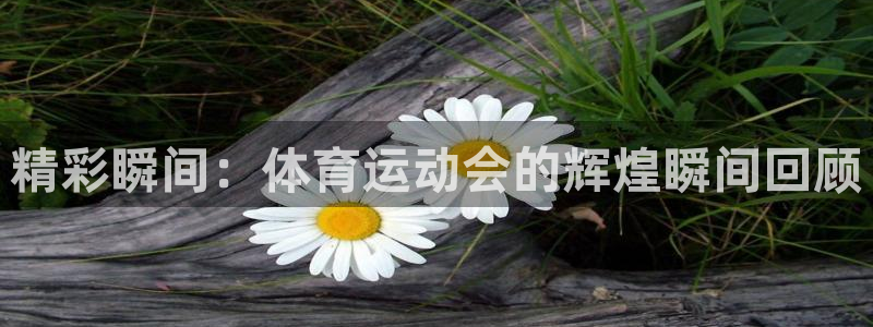 oety欧亿