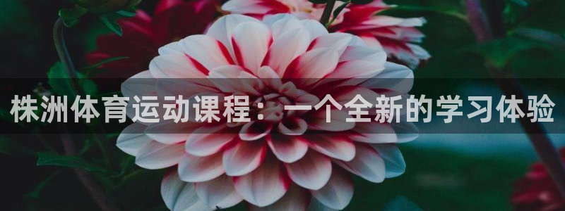 oety欧亿：株洲体育运动课程：一个全新的学习体验