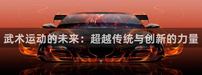 oety欧亿：武术运动的未来：超越传统与创新的力量